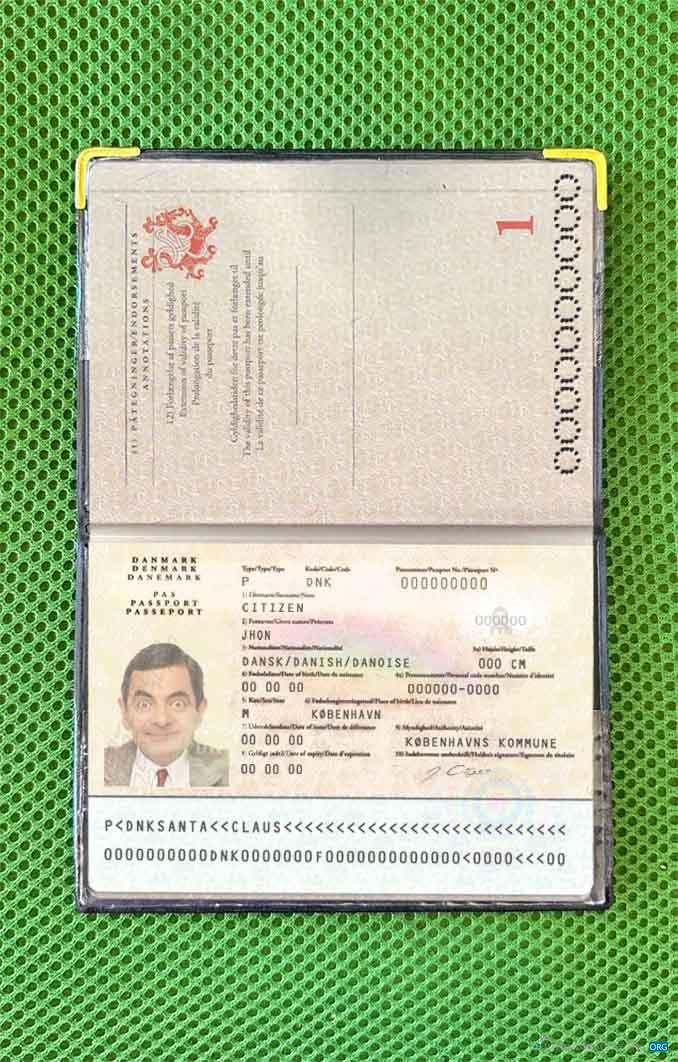 Download Denmark passport photo look Photoshop template